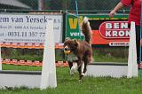 FLY BALL 015